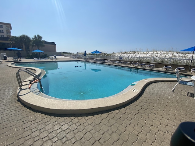 view of swimming pool with a patio area