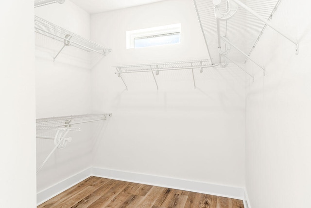 spacious closet featuring wood finished floors