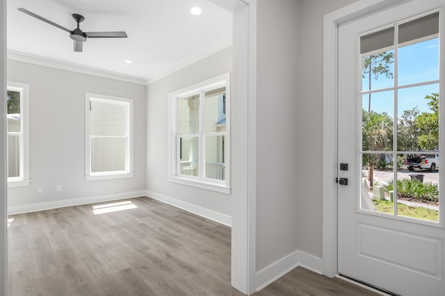 foyer entrance with ornamental molding, wood finished floors, a wealth of natural light, and baseboards