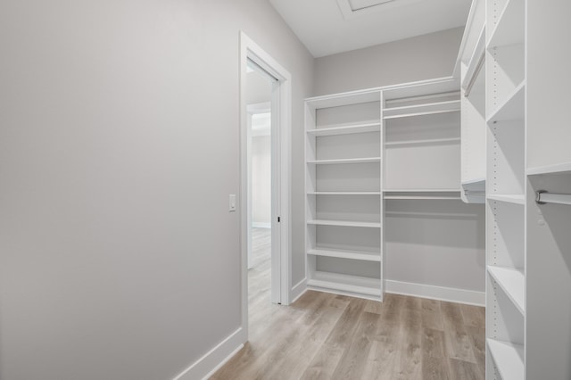 walk in closet with light wood finished floors