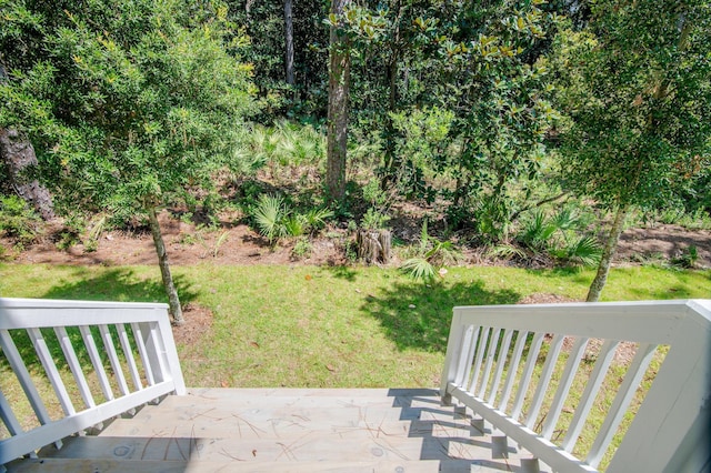 view of yard featuring a patio area