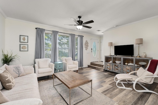 living room featuring hardwood / wood-style flooring, ornamental molding, and ceiling fan