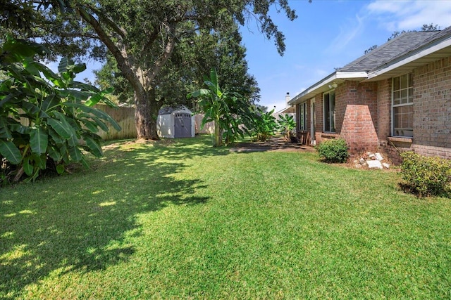 view of yard with a storage shed