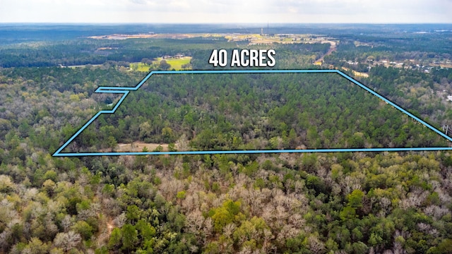 Listing photo 2 for 40ACRES Hallelujah Trl, Defuniak Springs FL 32433