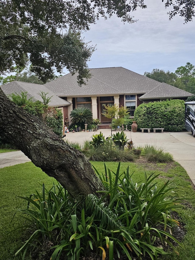 view of front facade with curved driveway, roof with shingles, and a front yard