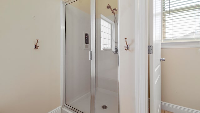 bathroom featuring plenty of natural light and a shower with door