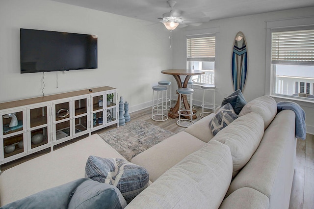 living room featuring ceiling fan and wood-type flooring