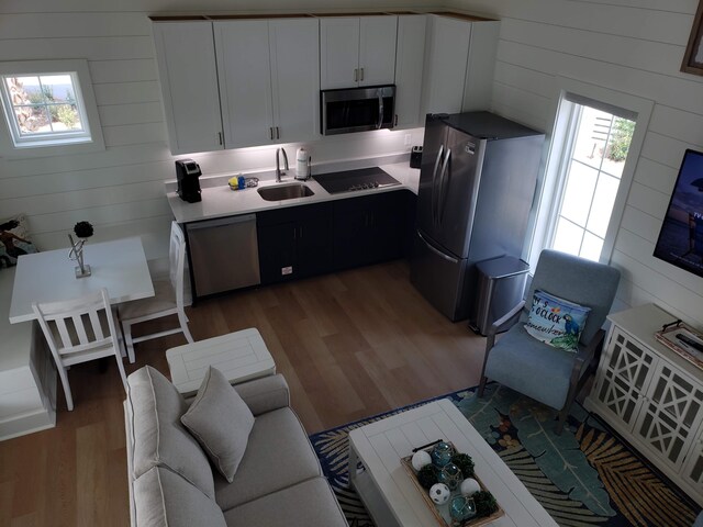 kitchen with stainless steel appliances, a healthy amount of sunlight, white cabinets, and sink