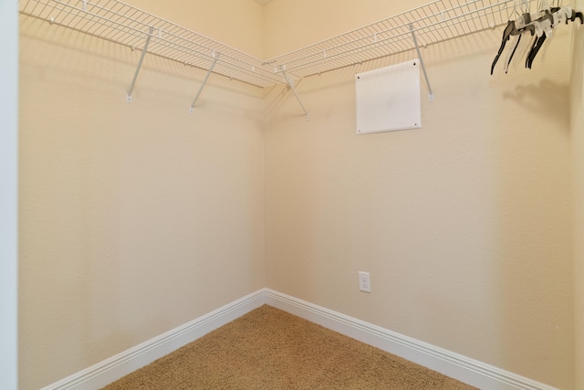 spacious closet with carpet floors