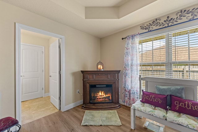 sitting room with light wood-type flooring