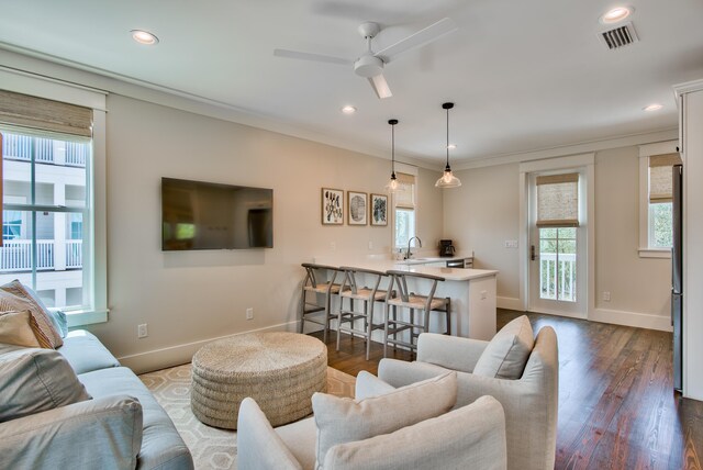 living room with dark hardwood / wood-style flooring, sink, and a healthy amount of sunlight