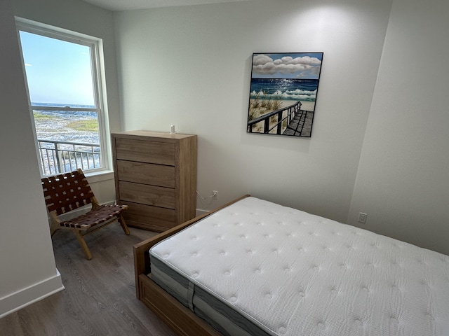 bedroom with hardwood / wood-style flooring