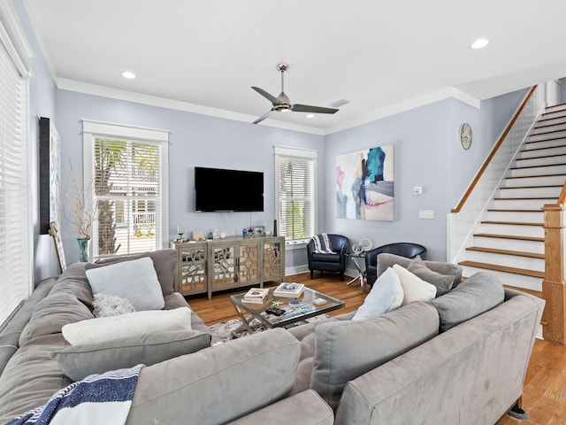 living room featuring ceiling fan, light hardwood / wood-style floors, and crown molding