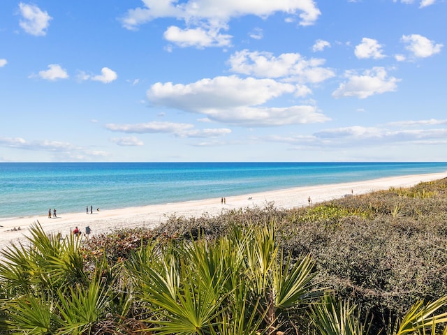 property view of water featuring a beach view