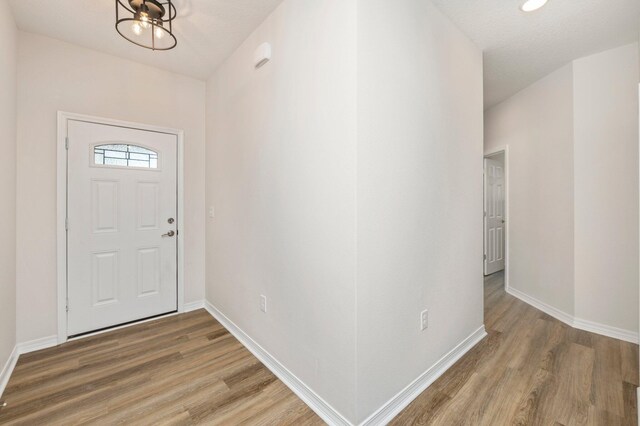 foyer entrance with wood-type flooring