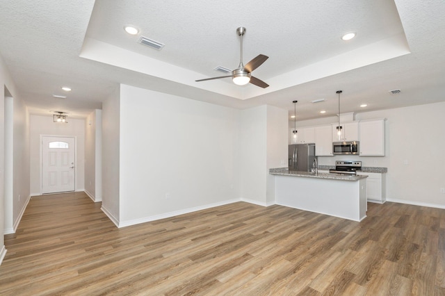 kitchen with a raised ceiling, light hardwood / wood-style floors, pendant lighting, and stainless steel appliances