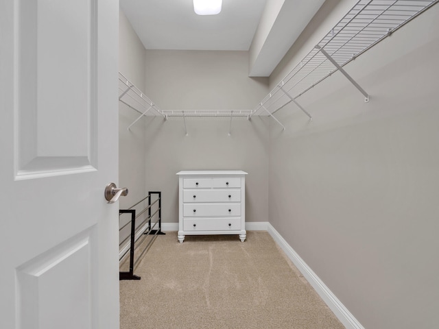 spacious closet featuring light colored carpet