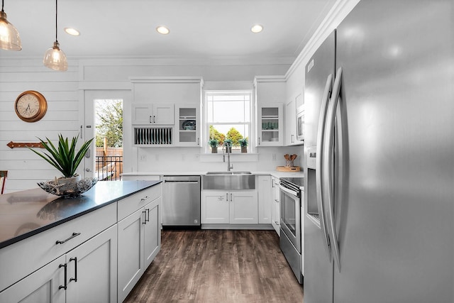 kitchen featuring dark wood-type flooring, a healthy amount of sunlight, a sink, and stainless steel appliances