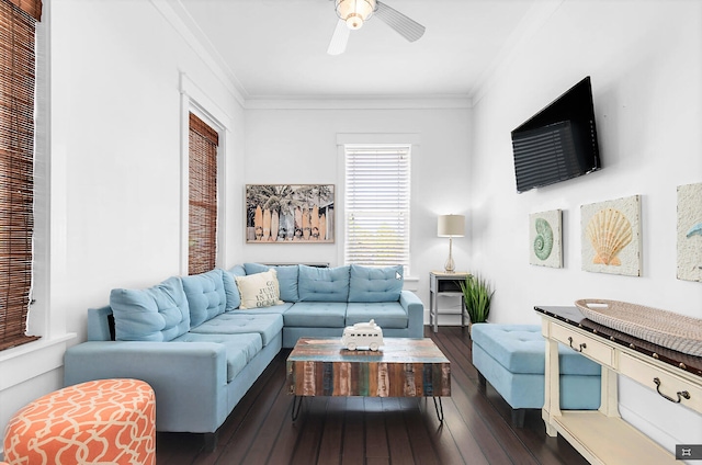 living area featuring a ceiling fan, ornamental molding, and dark wood-style floors