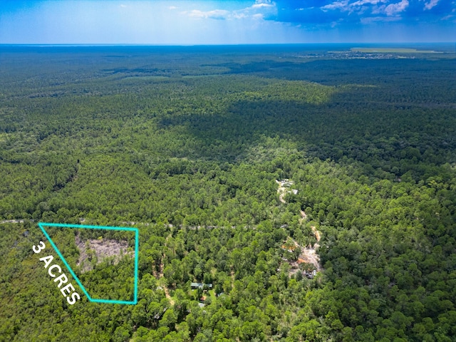 3ACRES Antioch Cemetery Rd, Ponce De Leon FL, 32455 land for sale