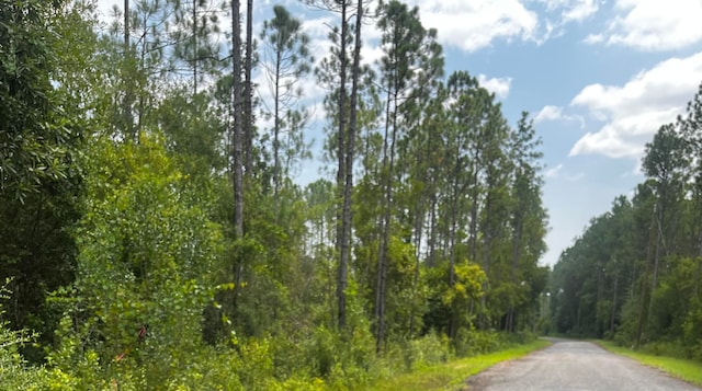 Listing photo 3 for 3ACRES Antioch Cemetery Rd, Ponce De Leon FL 32455