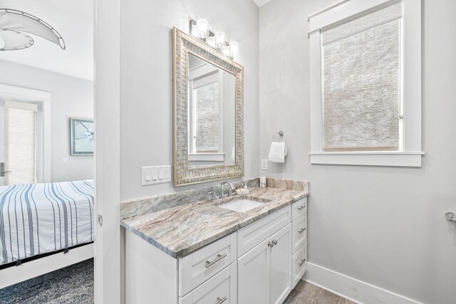 bathroom with vanity and a healthy amount of sunlight