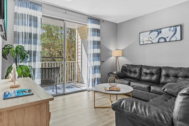 living room with hardwood / wood-style floors