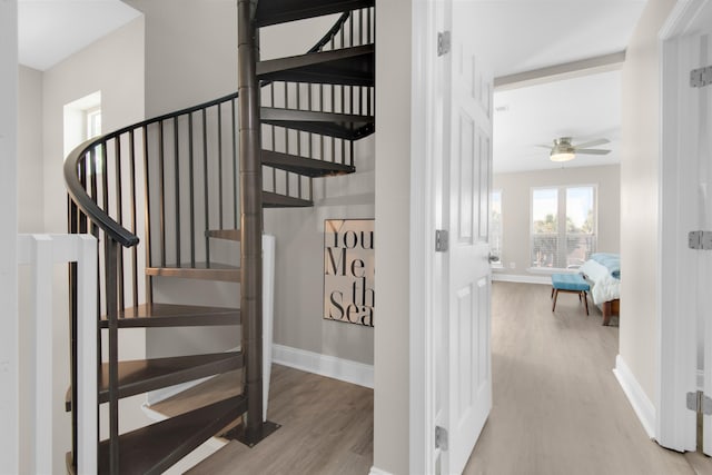 stairway with ceiling fan, baseboards, and wood finished floors