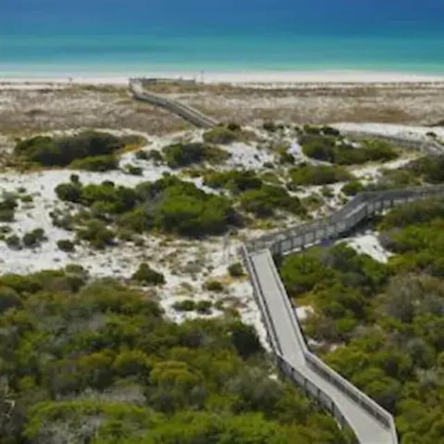 bird's eye view with a water view and a beach view