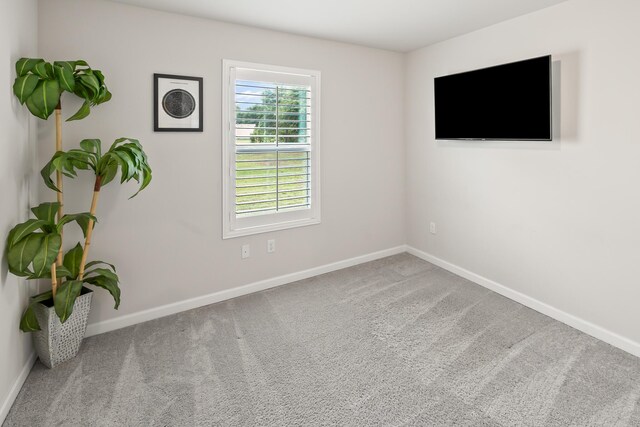 unfurnished room featuring carpet flooring