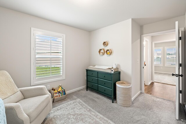 living area with light colored carpet and a wealth of natural light