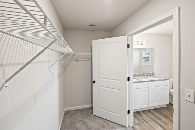 walk in closet featuring sink and light carpet