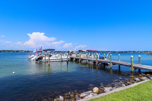 dock area with a water view