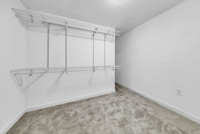 spacious closet with light carpet