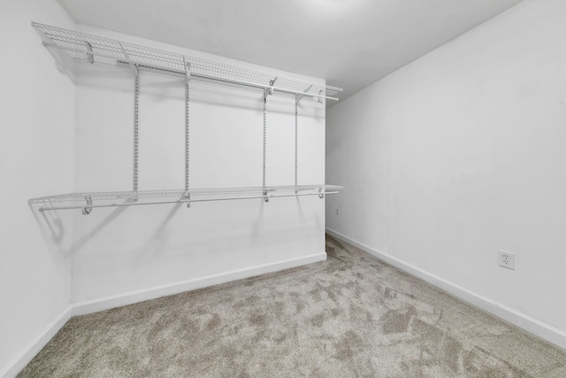 spacious closet featuring light carpet