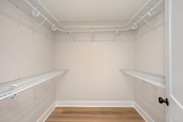 spacious closet with hardwood / wood-style floors