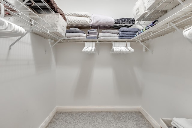 spacious closet with carpet