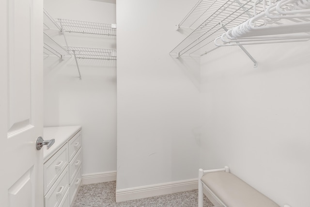 spacious closet featuring light colored carpet