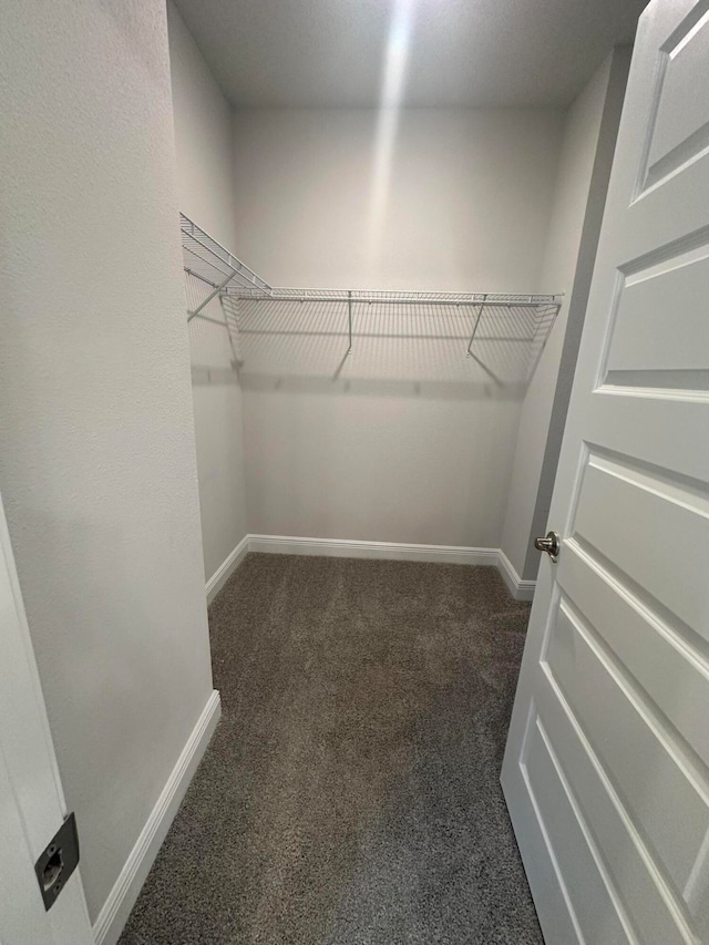 spacious closet with dark carpet