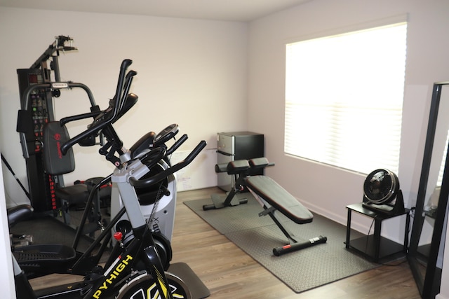 exercise room with light hardwood / wood-style flooring