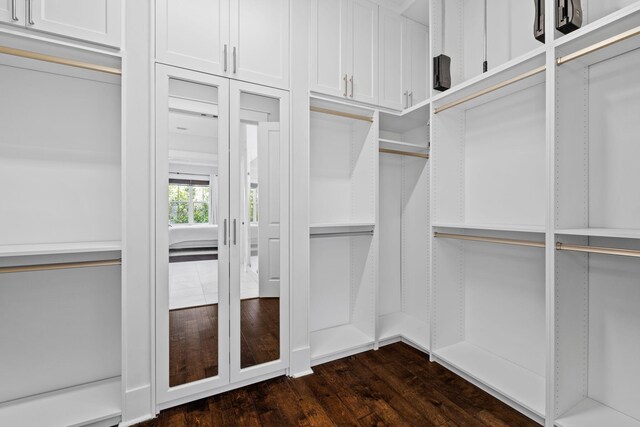 walk in closet with dark hardwood / wood-style floors