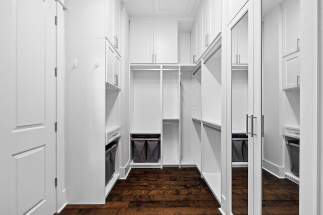 walk in closet featuring dark hardwood / wood-style flooring