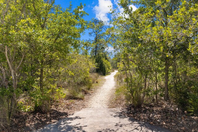 547 Flatwoods Forest Loop, Santa Rosa Beach, FL 32459 - photo 59
