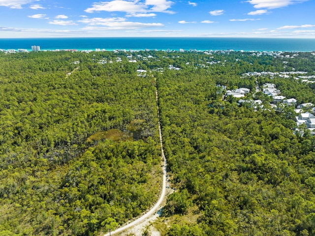 547 Flatwoods Forest Loop, Santa Rosa Beach, FL 32459 - photo 60