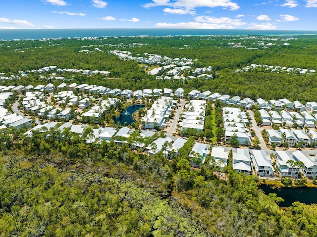 547 Flatwoods Forest Loop, Santa Rosa Beach, FL 32459 - photo 64