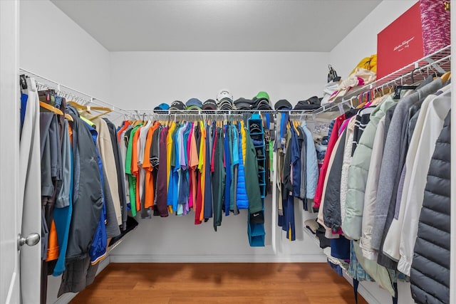 spacious closet featuring hardwood / wood-style flooring