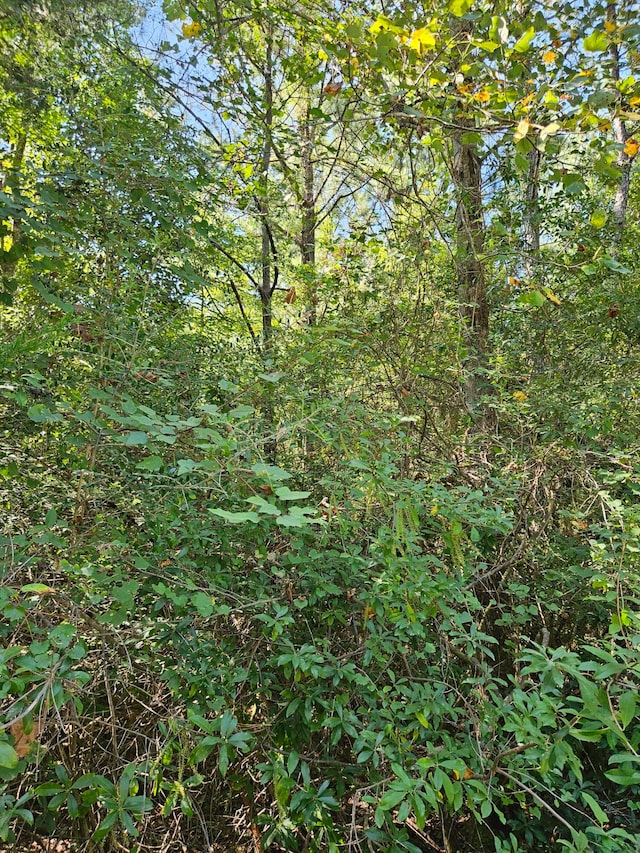 Listing photo 2 for LOT37 Plantation Ln, Defuniak Springs FL 32433