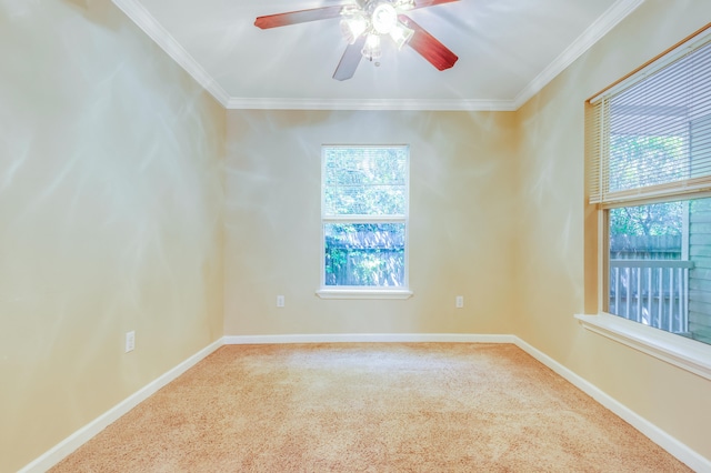 unfurnished room with ceiling fan, crown molding, and carpet floors