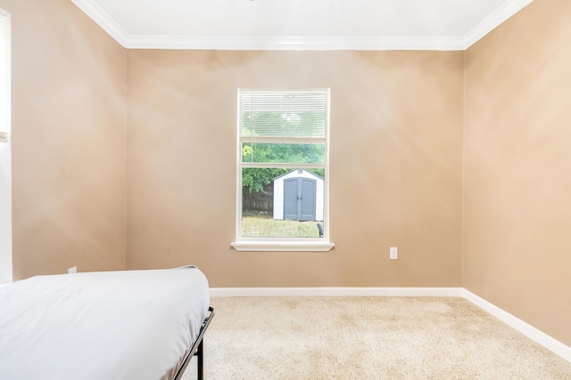 unfurnished bedroom with ornamental molding and carpet flooring