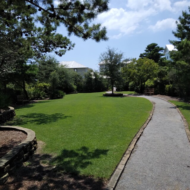 view of property's community featuring a lawn